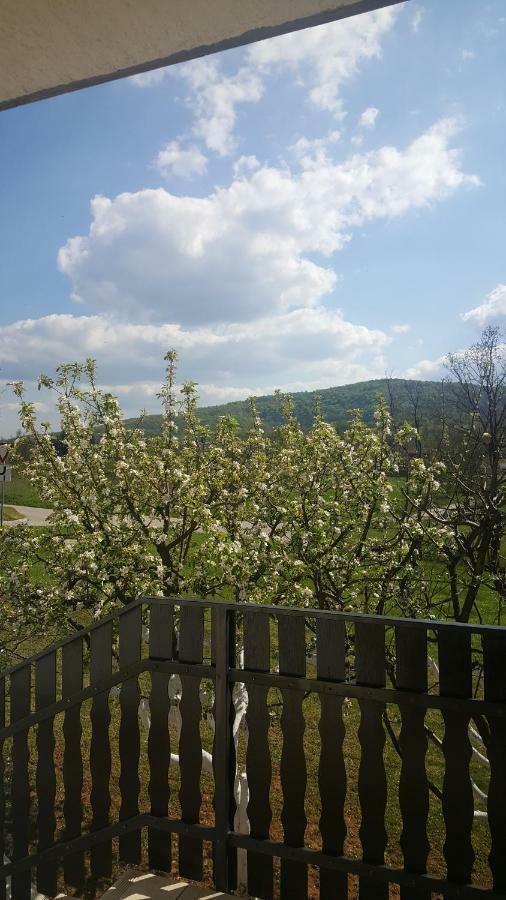 Apartment Silvia Slunj Exterior photo